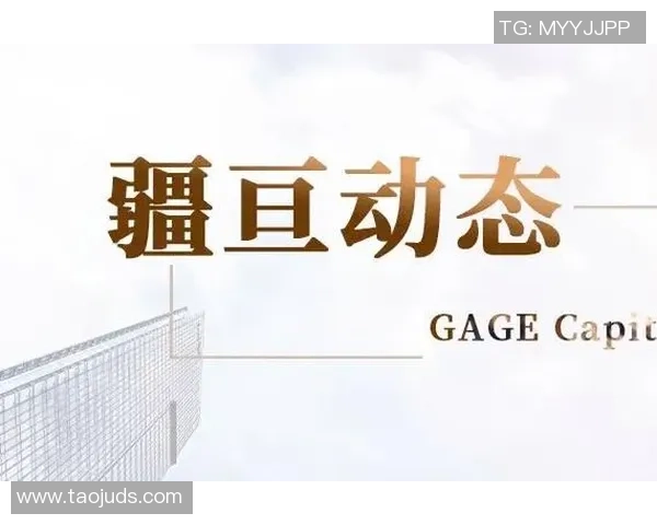 武汉篮球队战术解析：聚焦球队风格与比赛策略的深度探讨